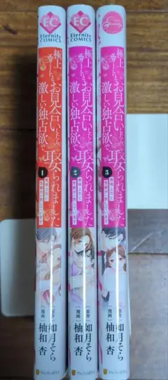 極上エリートとお見合いしたら、激しい独占欲で娶られました　俺様上司と性癖…①〜③