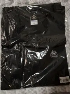 【新品・未使用品】群馬クレインサンダース　ロゴ入り Tシャツ M ブラック
