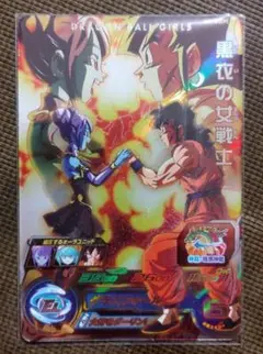 スーパードラゴンヒーローズヒーローズ　黒衣の女戦士