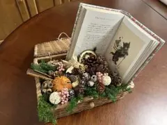 SALE ドライフルーツ　BOX にゃんこの本付き