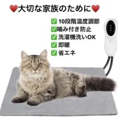 Item thumbnail for item af1f3a23-aa87-42d4-823c-a28c8e7c57d9