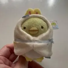 すみっコぐらし てのり ぬいぐるみ ふしぎなうさぎのおにわ ぺんぎん？