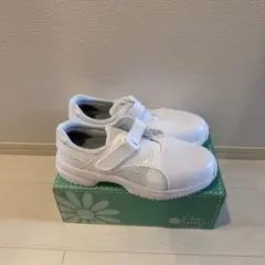 Item thumbnail for item 63a29ab2-ce5b-45bd-9a11-dbfe0eb363ab