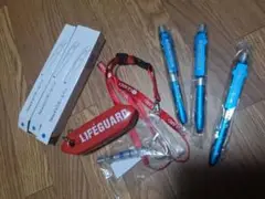 ライフガード LIFE GUARD キーホルダー ボールペン 笛 ネックホルダー