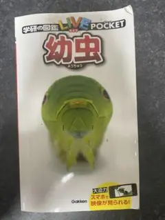 学研の図鑑　LIVE ライブ　ポケット　幼虫