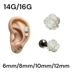 Item thumbnail for item da7260f3-86e9-4886-8714-1e59139df61f