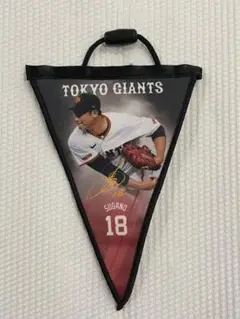 ジャイアンツ　18 菅野選手