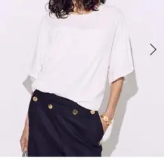 raspail ルーズフィットTシャツ　ラスパイユ BRILL ブリル