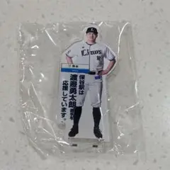 駅の推し獅子　獅子グッズラリー　渡邉勇太朗 選手　選手スタンドパネル
