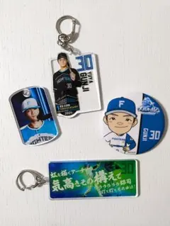 ファイターズ　郡司裕也　セット