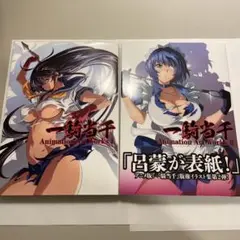 一騎当千 Animation Art Works I、II