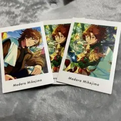 三毛縞斑 ぱしゃっつ 3枚