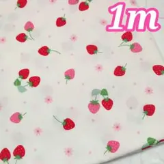 ❁現品のみ❁赤とピンクのいちごとお花❁Oxford1m