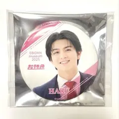 EBIDAN museum 2025 缶バッジ ハル　超特急