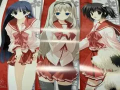 To Heart2 XRATED 描きおろしスティックポスター 10枚セット