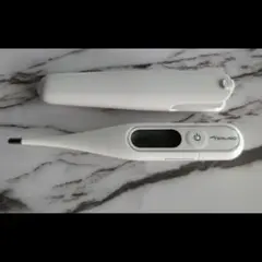 Item thumbnail for item 02a4ac53-ec45-4cde-a10e-5098e7b872c3