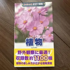 植物
