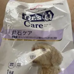 Item thumbnail for item 38119254-6330-4d6e-aa69-93cf46cf5678