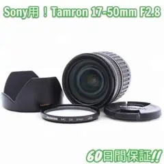 Item thumbnail for item 1f388c56-97a4-4a8d-ab5d-01f68ed9c9d1