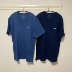 2枚組　Blue Blue ポケT FRUIT OF THE ROOM