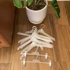 todayfulトゥデイフル　プラスチックハンガー