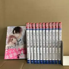 次はいいよね、先輩　１〜１２巻　全巻セット　レンタル　まとめ売り　漫画