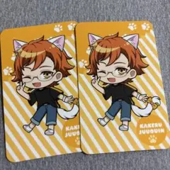 キンプリ キンツア TOIVO プリズムにゃんこ トレカ カード カケル