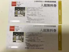 東京ドーム 野球殿堂博物館 入館無料券2枚