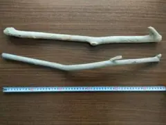 Item thumbnail for item 4ced759f-71f3-495c-b2bd-a45ecd3364a5