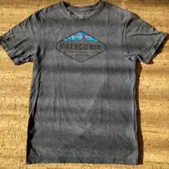 PATAGONIA グレー Tシャツ