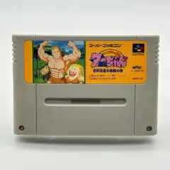 SFC ジャングルの王者 ターちゃん 世界漫遊大格闘の巻 スーパーファミコン