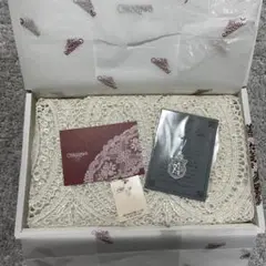 レース