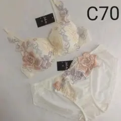 新品 ワコール サルート ブラC70/ショーツL