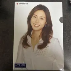 松嶋菜々子　クリアファイル