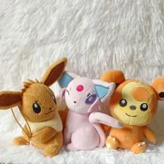 ポケモン ぬいぐるみ エーフィー ヒメグマ イーブイ おまとめ