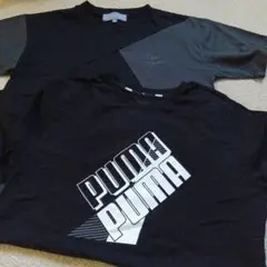 PUMA 半袖Tシャツ ブラック グレー　ブランドなし　　2枚　150