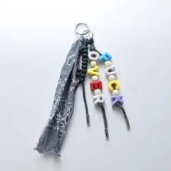 ①visyay 「Various key ring」 キーホルダー