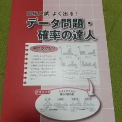 新品　データ問題・確率の達人　別冊解答付