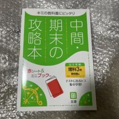 Item thumbnail for item 1751fb6a-6eda-49d9-a5ff-a796259c922c