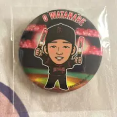 オリックス ガチャ 渡辺遼人 夏の陣 カンバッジ
