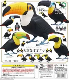 ネイチャーテクニカラー　大きなオオハシ　全4種　コンプ