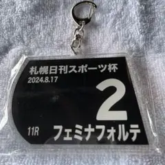 札幌日刊スポーツ杯　フェミナフォルテ　キーホルダー