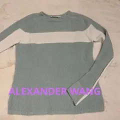 アレキサンダーワン ニット 美品❣️