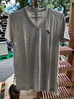 2010デットストック アバクロ Vネック Tee ベージュ Mサイズ