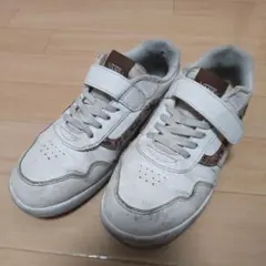 VANS（バンズ）キッズスニーカー（22cm）