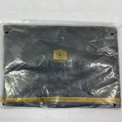 Item thumbnail for item 4232107d-30c8-46a5-bcca-60369a209d86