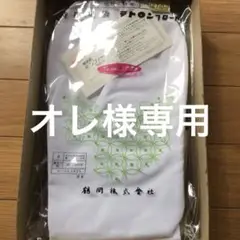 Item thumbnail for item 662b568c-00fb-49d9-ae47-38ad63245155