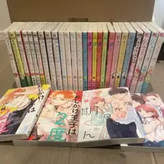 女性漫画　まとめ売り　30冊