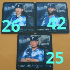 ベイスターズ スターナイトコースター