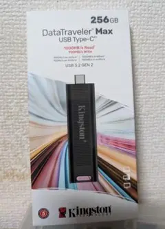 Kingston DTMAX 256GB USB Type-C